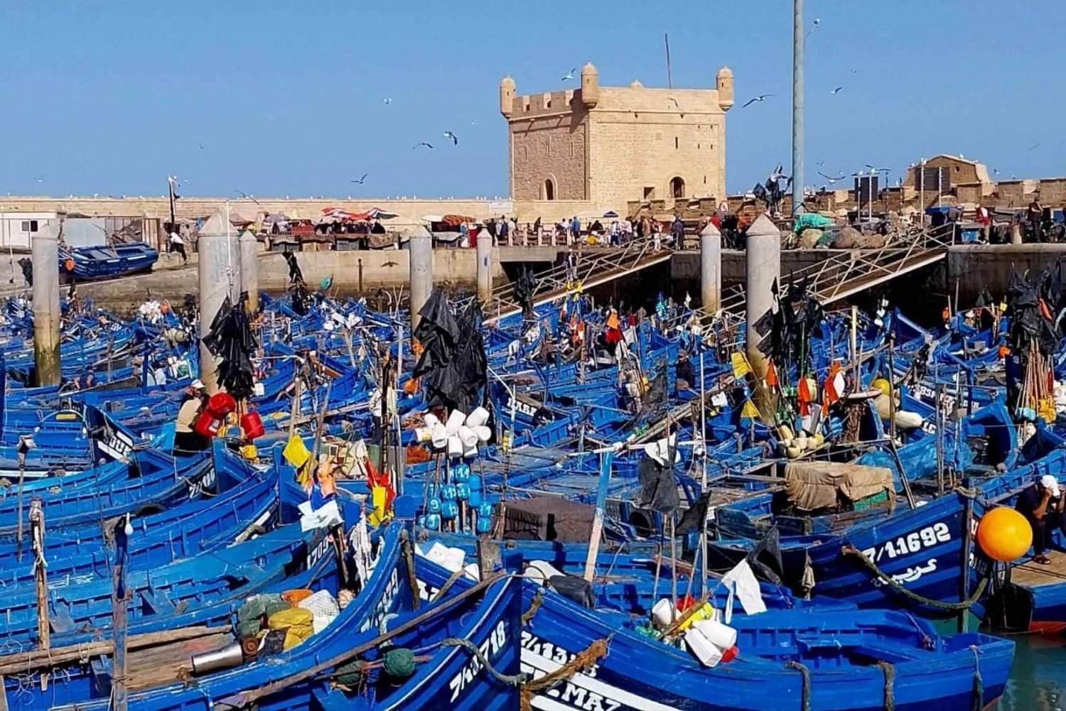 Marrakechista: Essaouira Yksityinen kokopäiväretki