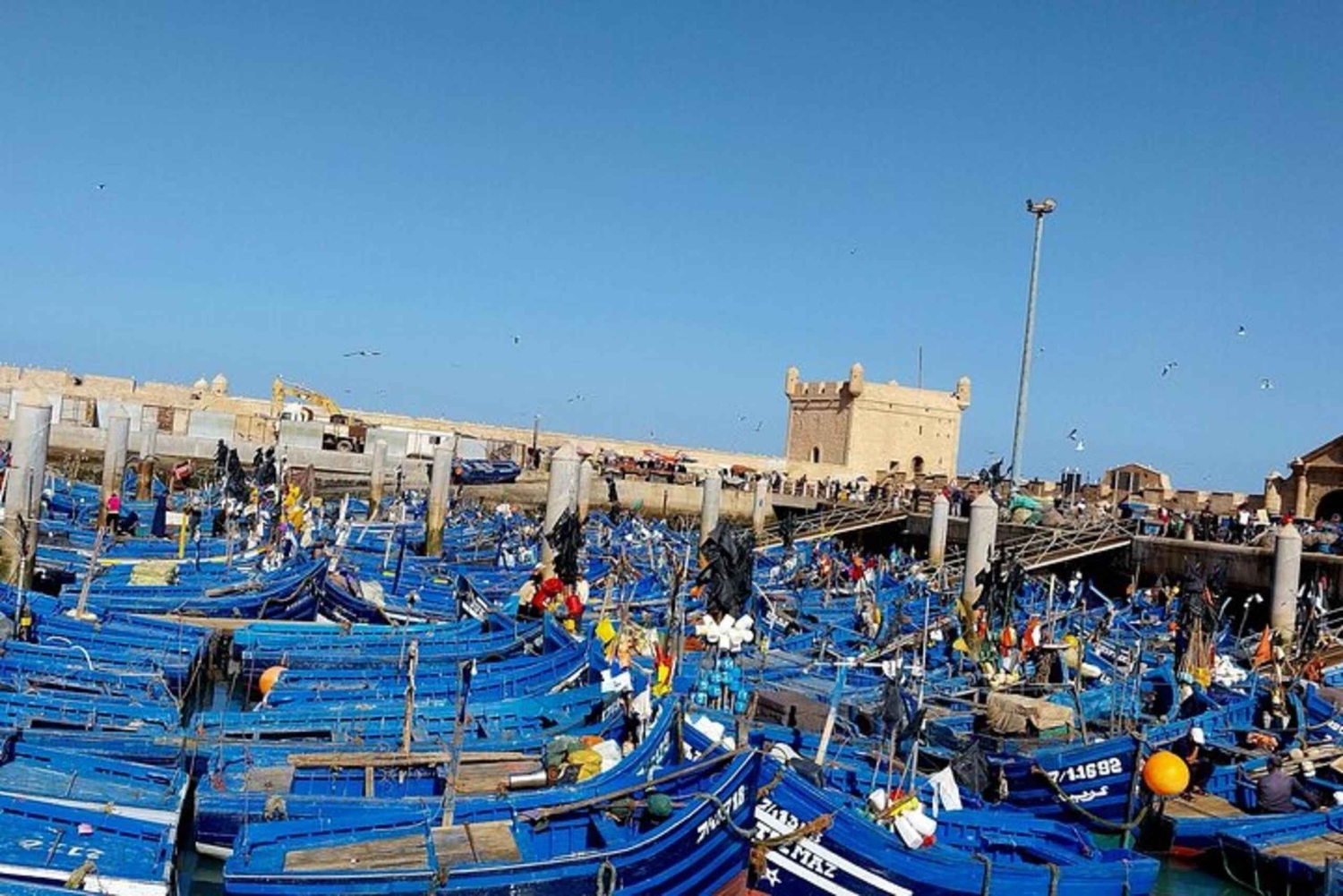 Fra Marrakech: Privat heldagstur til Essaouira
