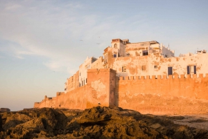 From Marrakech: Essaouira Private Full-Day Trip
