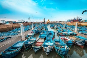 Von Marrakech aus: Essaouira Privater Ganztagesausflug