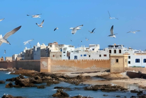 Fra Marrakech: Privat heldagstur til Essaouira