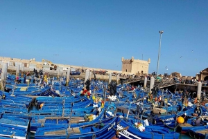 Fra Marrakech: Privat heldagstur til Essaouira