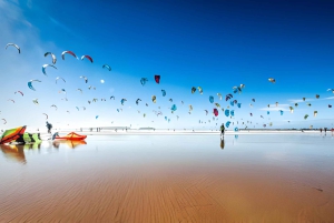 Fra Marrakech: Privat heldagstur til Essaouira