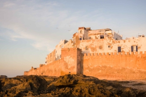 Fra Marrakech: Privat heldagstur til Essaouira