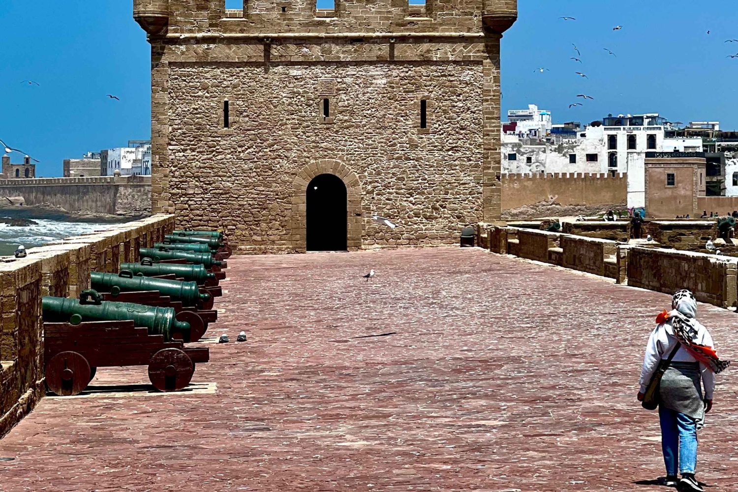 Fra Marrakech: Dagstur i lille gruppe til Essaouira