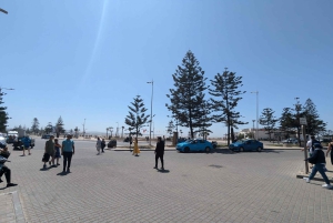 Fra Marrakech: Dagstur i lille gruppe til Essaouira