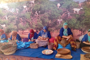 Fra Marrakech: Dagstur i lille gruppe til Essaouira