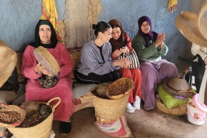 Fra Marrakech: Dagstur i lille gruppe til Essaouira