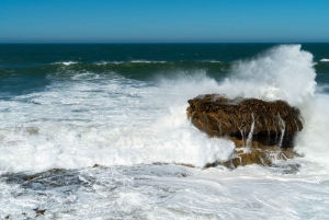Fra Marrakech: Dagstur i lille gruppe til Essaouira