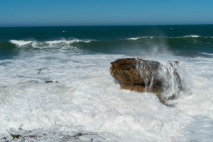 Fra Marrakech: Dagstur i lille gruppe til Essaouira