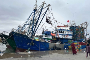 Fra Marrakech: Dagstur i lille gruppe til Essaouira