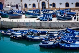 From Marrakech: Essaouira Trip including camel, horse & quad