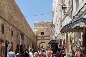 From Marrakech: Essaouira Trip including camel, horse & quad