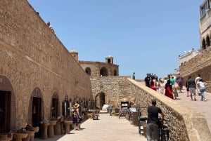 From Marrakech: Essaouira Trip including camel, horse & quad