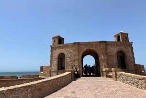 From Marrakech: Essaouira Trip including camel, horse & quad