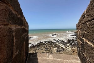 From Marrakech: Essaouira Trip including camel, horse & quad