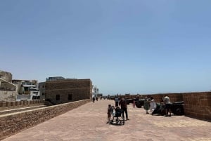 From Marrakech: Essaouira Trip including camel, horse & quad