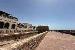 From Marrakech: Essaouira Trip including camel, horse & quad