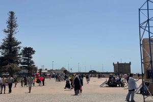 From Marrakech: Essaouira Trip including camel, horse & quad