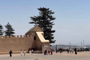 From Marrakech: Essaouira Trip including camel, horse & quad