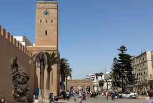 From Marrakech: Essaouira Trip including camel, horse & quad