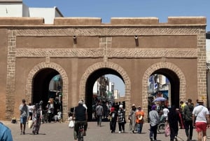 From Marrakech: Essaouira Trip including camel, horse & quad