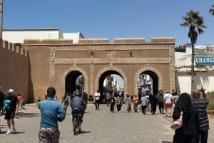 From Marrakech: Essaouira Trip including camel, horse & quad