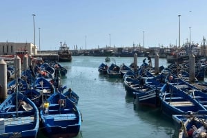 From Marrakech: Essaouira Trip including camel, horse & quad