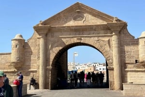 From Marrakech: Essaouira Trip including camel, horse & quad