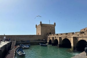 From Marrakech: Essaouira Trip including camel, horse & quad