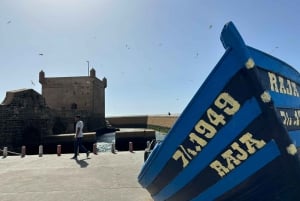 From Marrakech: Essaouira Trip including camel, horse & quad