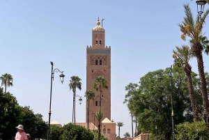 From Marrakech: Excursion to Kasbah Ait Ben Haddou