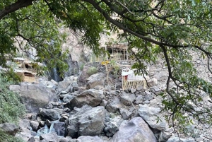 From Marrakech: Full-Day in the Atlas Mountains with Lunch