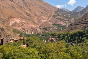 From Marrakech: Full-Day in the Atlas Mountains with Lunch