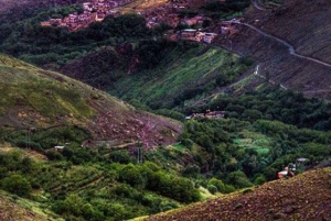 From Marrakech: Full-Day in the Atlas Mountains with Lunch