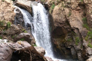 From Marrakech: Full-Day in the Atlas Mountains with Lunch