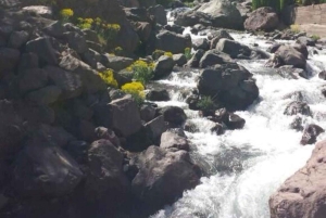 From Marrakech: Full-Day in the Atlas Mountains with Lunch