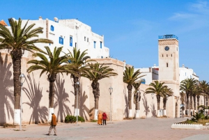 Från Marrakech: Heldagsutflykt till Essaouira med skåpbil