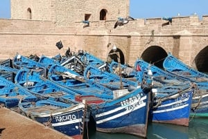 Marrakechista : Kokopäiväretki Essaouiraan