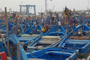 Marrakechista : Kokopäiväretki Essaouiraan