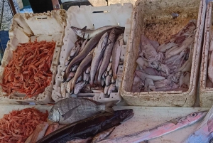 Marrakechista : Kokopäiväretki Essaouiraan