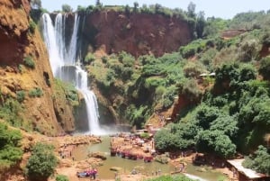 Au départ de Marrakech : Excursion d'une journée aux chutes d'Ouzoud avec tour en bateau