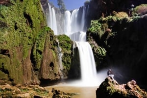Au départ de Marrakech : Excursion d'une journée aux chutes d'Ouzoud avec tour en bateau