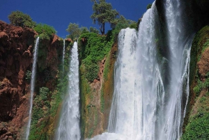 Au départ de Marrakech : Excursion d'une journée aux chutes d'Ouzoud avec tour en bateau