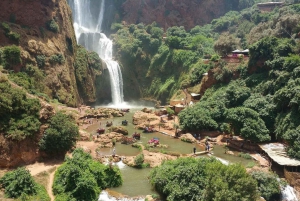 Au départ de Marrakech : Excursion d'une journée aux chutes d'Ouzoud avec tour en bateau