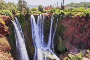 Au départ de Marrakech : Excursion d'une journée aux chutes d'Ouzoud avec tour en bateau