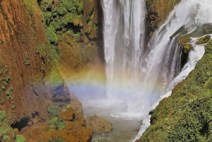 Au départ de Marrakech : Excursion d'une journée aux chutes d'Ouzoud avec tour en bateau