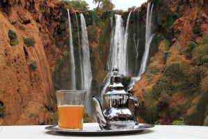 Au départ de Marrakech : Excursion d'une journée aux chutes d'Ouzoud avec tour en bateau