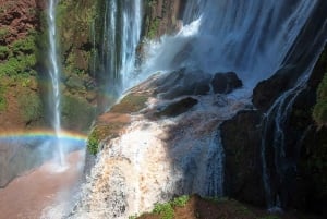 Au départ de Marrakech : Excursion d'une journée aux chutes d'Ouzoud avec tour en bateau