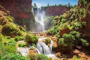 Au départ de Marrakech : Excursion d'une journée aux chutes d'Ouzoud avec tour en bateau
